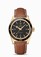 Omega Seamaster Master Co-Axial Chronometer 18k Yellow Gold Case Brown Leather Watch# 233.62.41.21.01.001 (Men Watch)