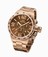 TW Steel Brown Dial Stainless Steel Rose Gold Plated Watch # CB193 (Women Watch)