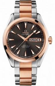 Omega Autoamtic COSC Day - Date Aqua Terra Watch #231.20.43.22.06.001 (Men Watch)