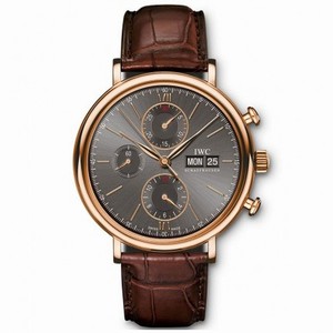 IWC Ardoise Automatic Watch #IW391021 (Men Watch)